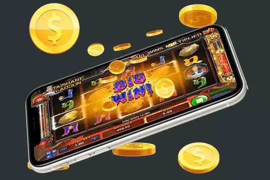 pintoto